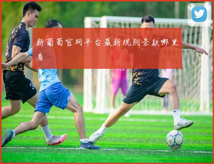 新葡萄官网平台最新规则条款哪里看