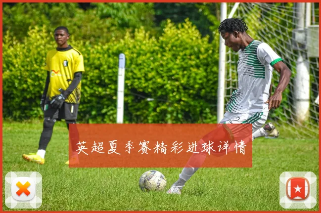 英超夏季赛精彩进球详情