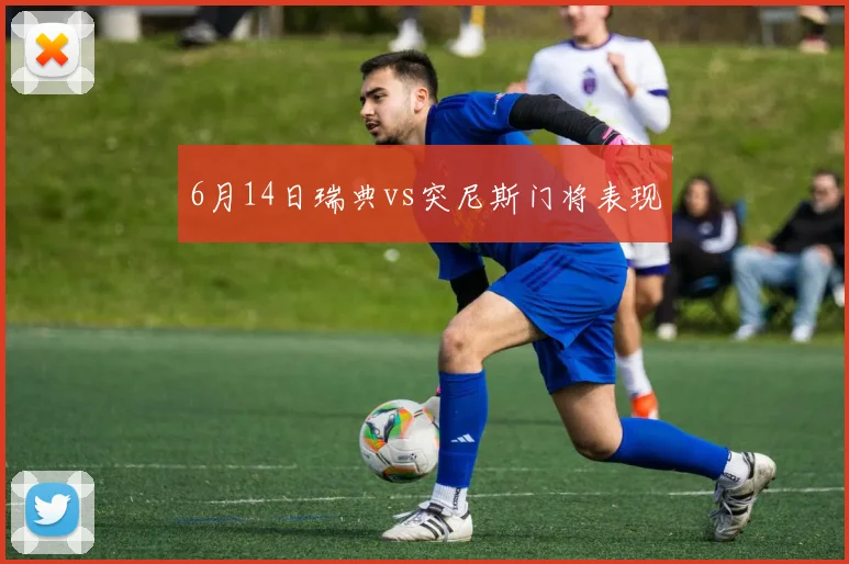 6月14日瑞典vs突尼斯门将表现