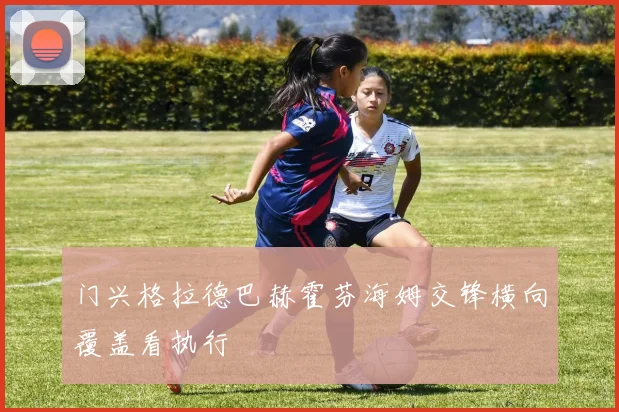门兴格拉德巴赫霍芬海姆交锋横向覆盖看执行
